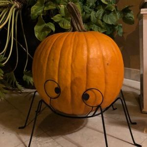 Meet your Posher, Isis